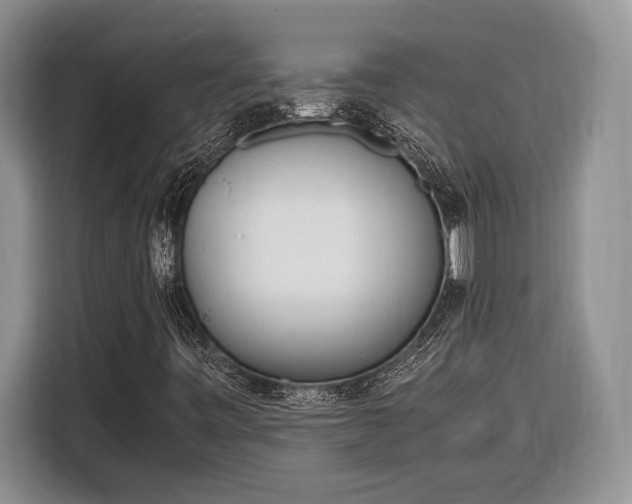 X0000116331443200912091030