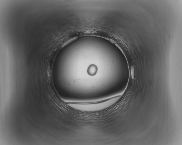 X0000116331444200912091030