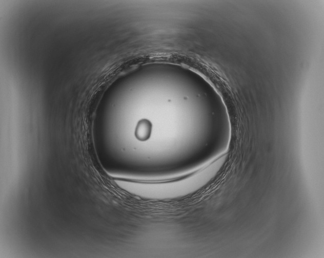 X0000116331445200912091030