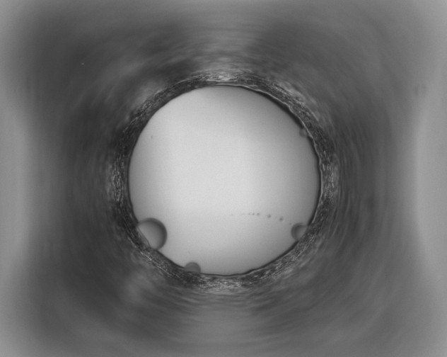 X0000116331446200912091030