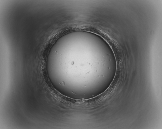 X0000116331447200912091030