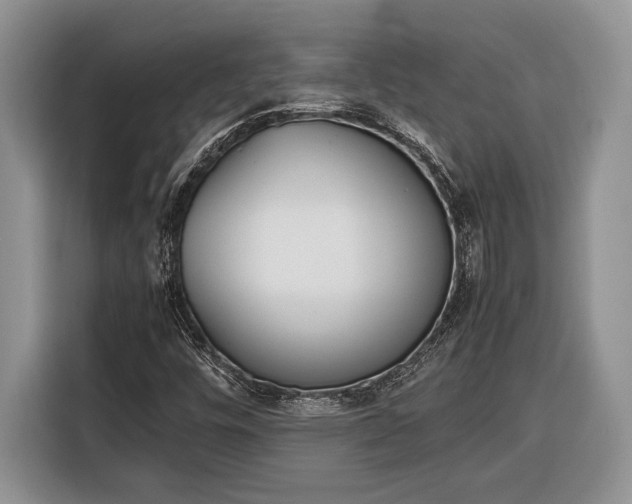 X0000116331448200912091030