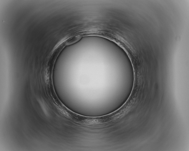 X0000116331450200912091030
