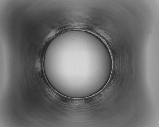X0000116331451200912091030