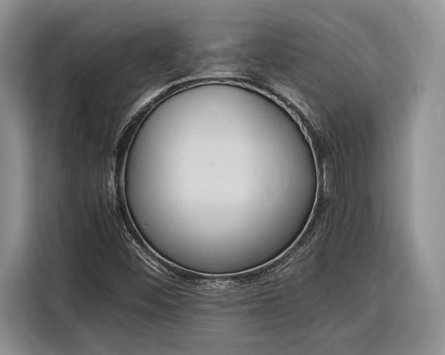 X0000116331452200912091030