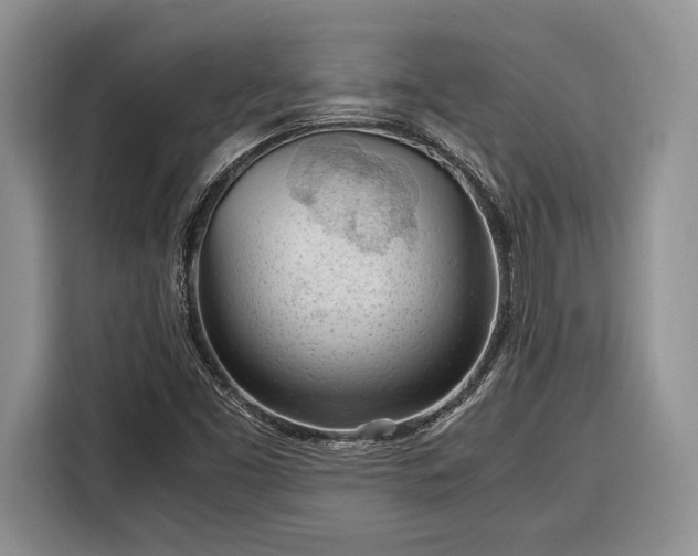 X0000116331453200912091030
