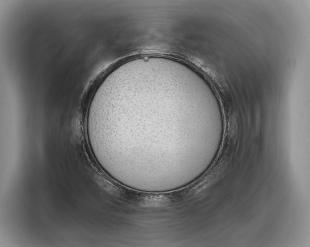 X0000116331454200912091029
