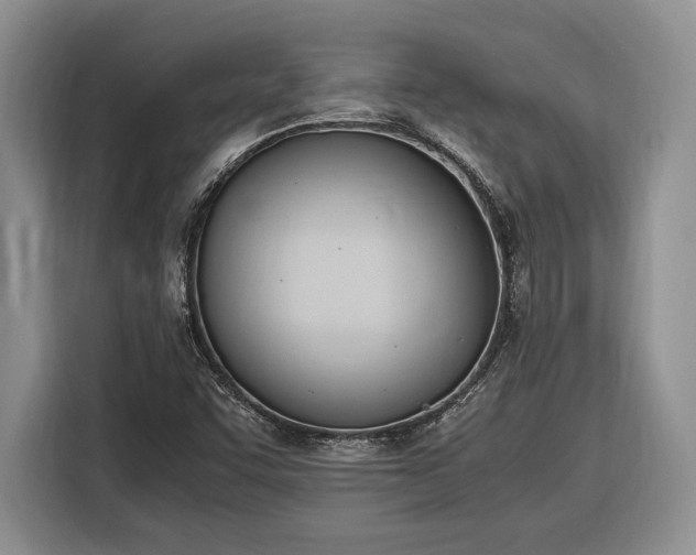 X0000116331455200912091029
