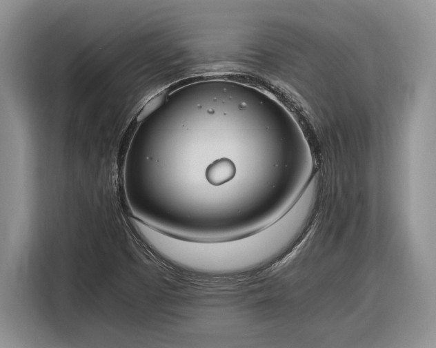 X0000116331457200912091029