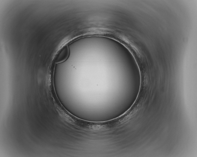 X0000116331459200912091029