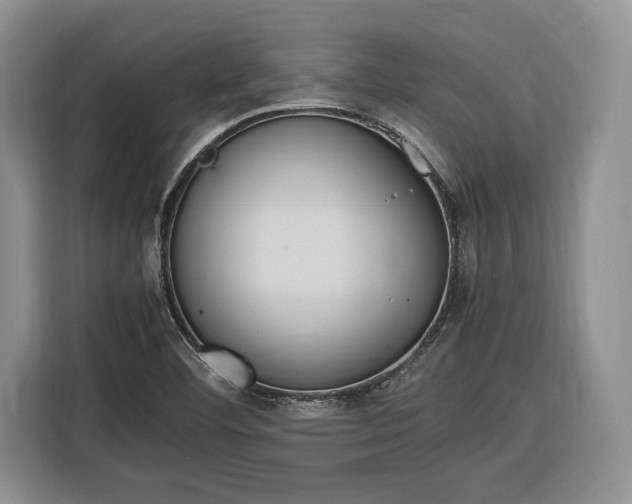 X0000116331460200912091029