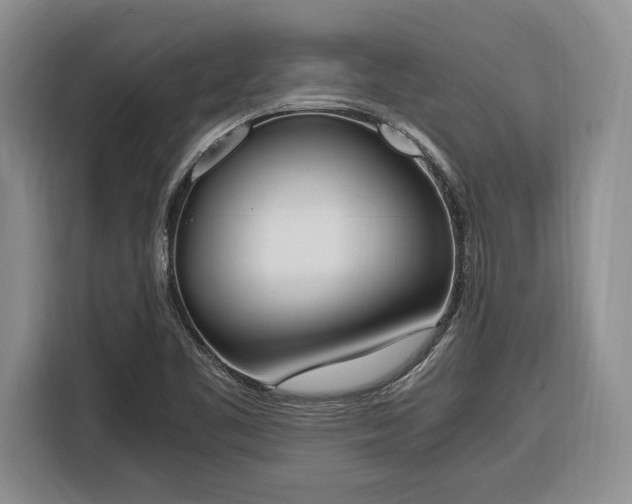 X0000116331461200912091029