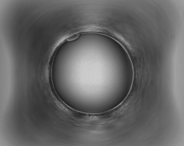 X0000116331463200912091029