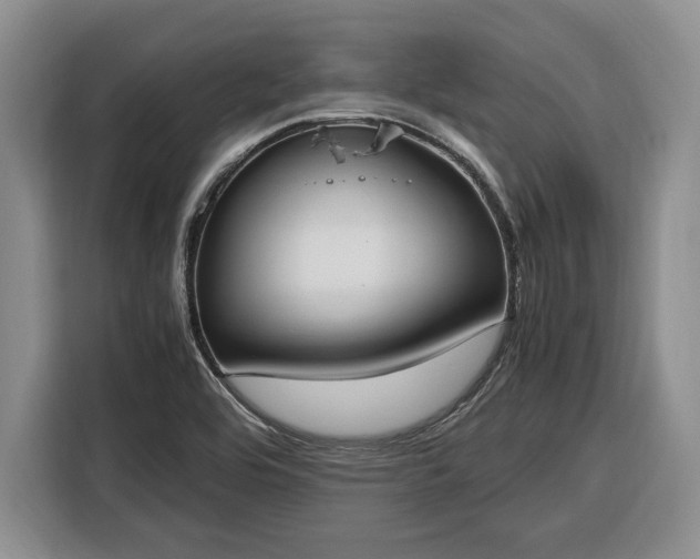 X0000116331464200912091029