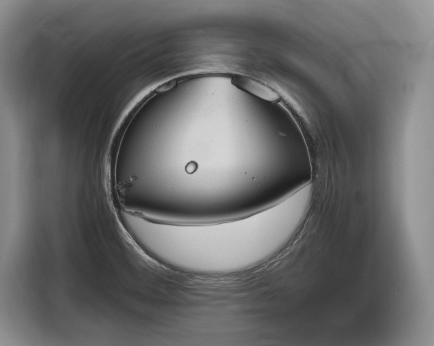 X0000116331468200912091029