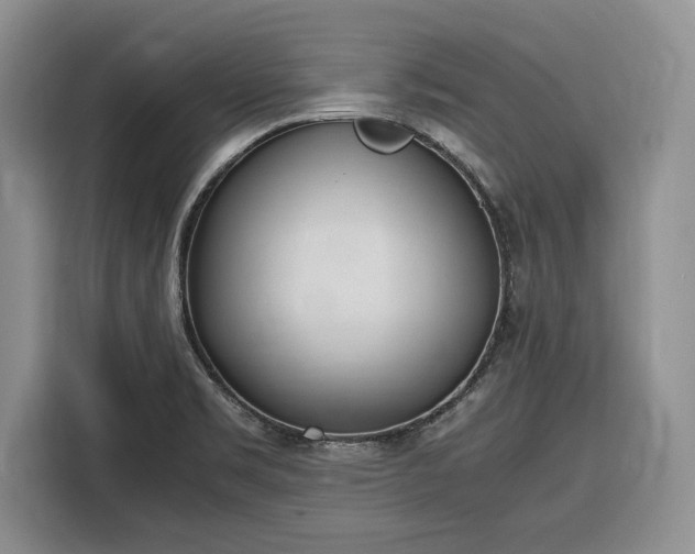 X0000116331469200912091029