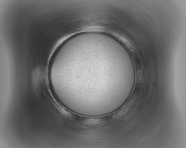 X0000116331470200912091029