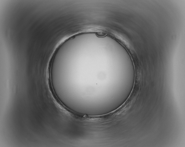 X0000116331471200912091029