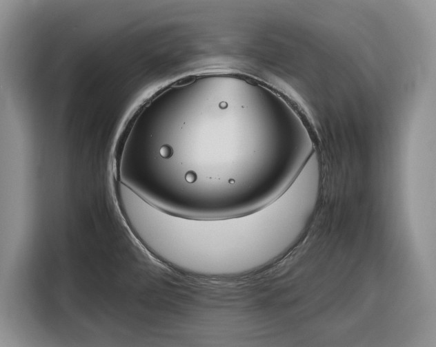 X0000116331472200912091029