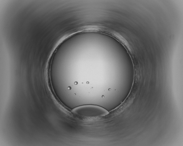 X0000116331475200912091029
