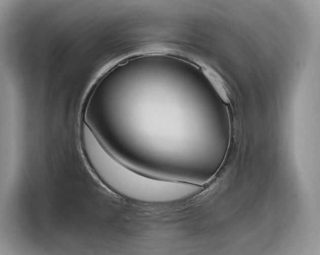 X0000116331477200912091029