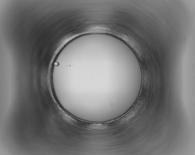 X0000116331478200912091029