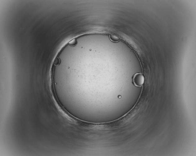 X0000116331479200912091029