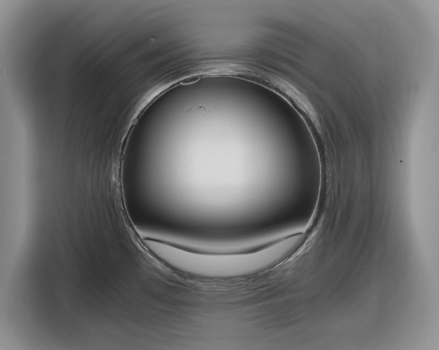 X0000116331481200912091029