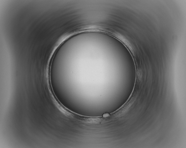 X0000116331482200912091029
