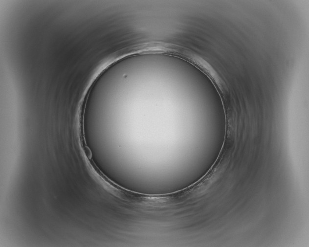 X0000116331483200912091029