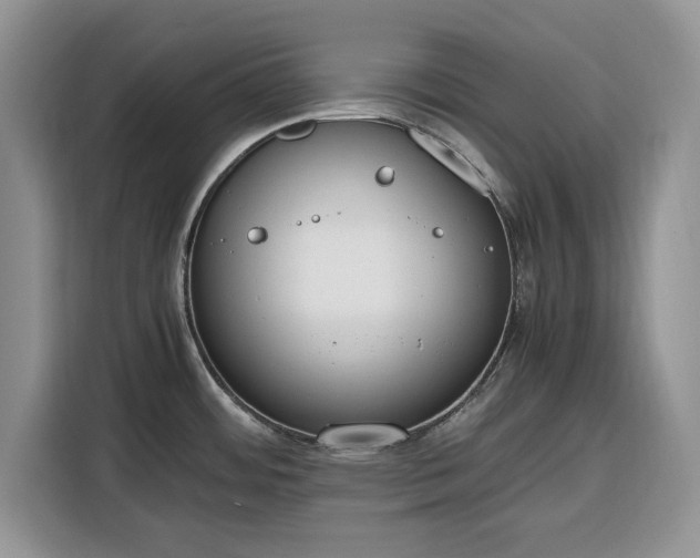 X0000116331484200912091029