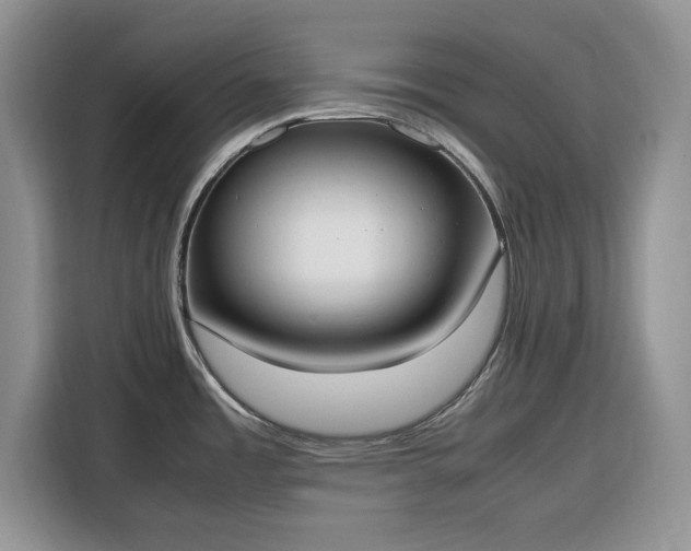 X0000116331485200912091029
