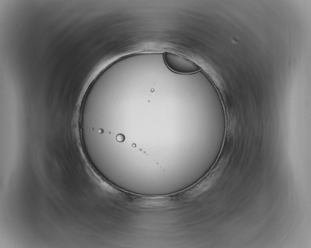 X0000116331486200912091029