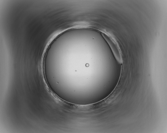 X0000116331488200912091029