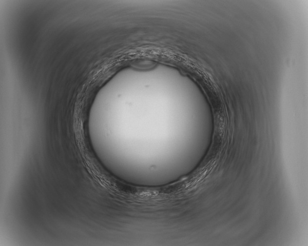 X0000116331489200912091028