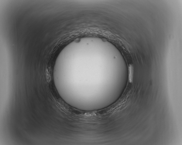 X0000116331491200912091028