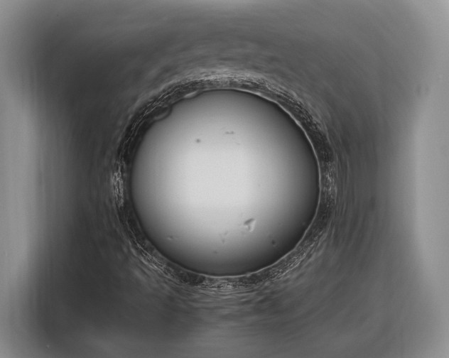X0000116331493200912091028