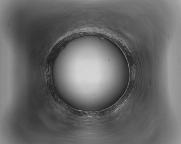 X0000116331494200912091028