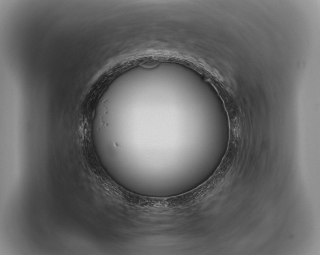 X0000116331495200912091029