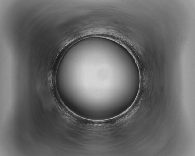 X0000116331497200912091029