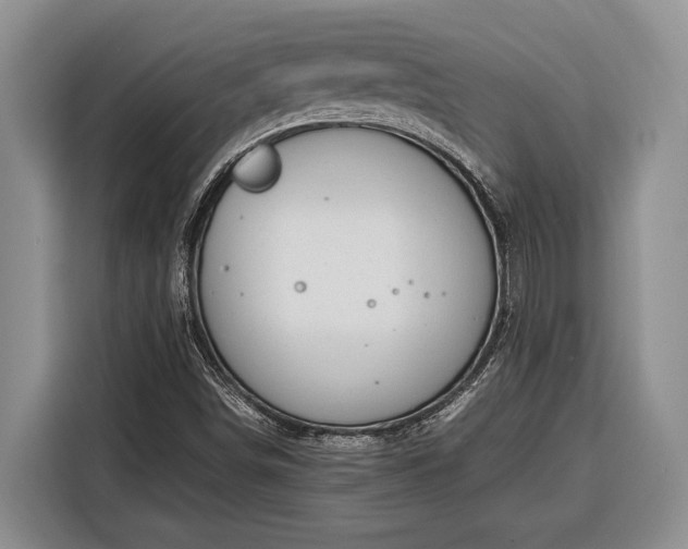 X0000116331498200912091029