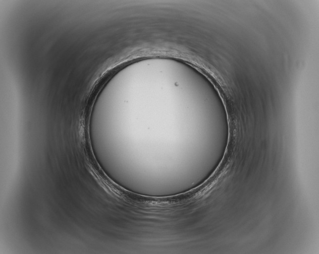 X0000116331499200912091029