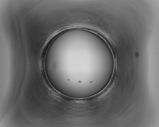 X0000116331501200912091029