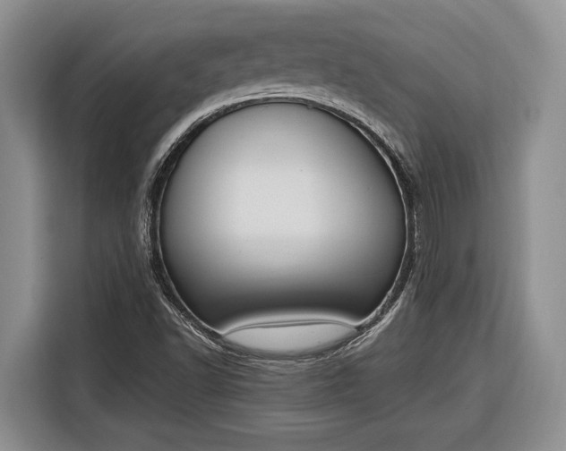 X0000116331502200912091029
