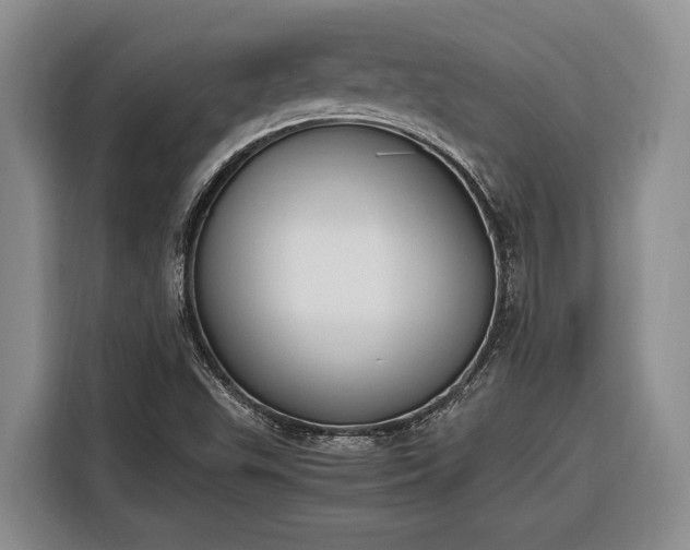 X0000116331503200912091029