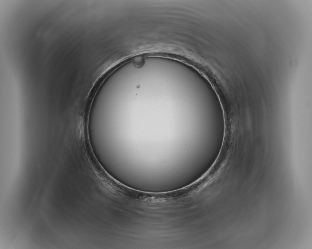 X0000116331505200912091029