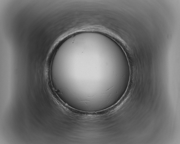 X0000116331506200912091029