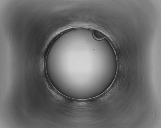 X0000116331507200912091029