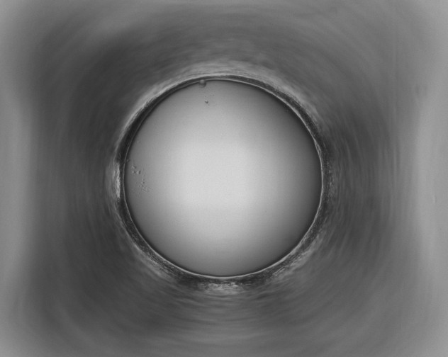 X0000116331509200912091029