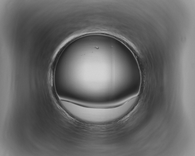 X0000116331510200912091029